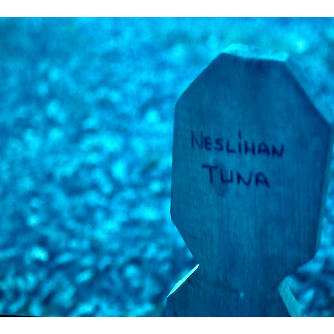 TRT’den sessiz sansür, Aybüke Pusat’tan güçlü yanıt: Geri döndü! 3